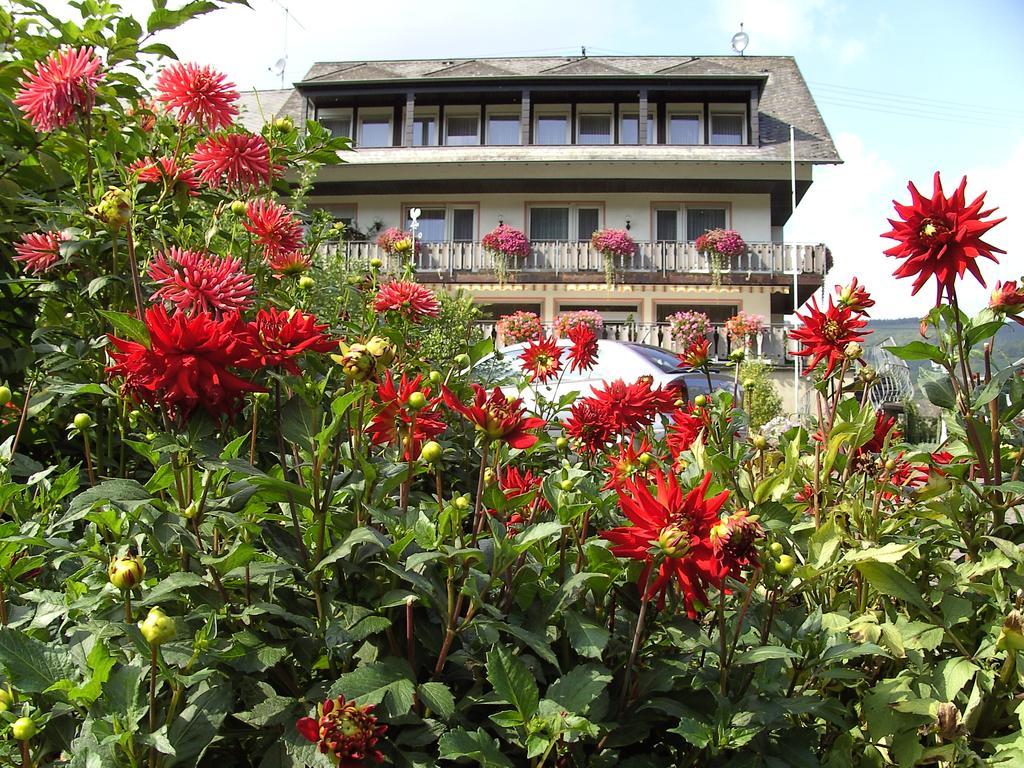 Haus Klosterblick Kröv Exterior foto